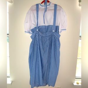Dorothy Wizards of Oz Costume